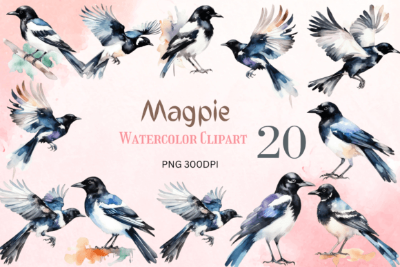 Sublimation Magpie Clipart Bundle Png for Crafts & Branding