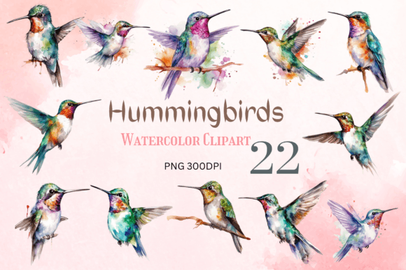 Watercolor Hummingbirds Clipart, Png for Crafts & Branding